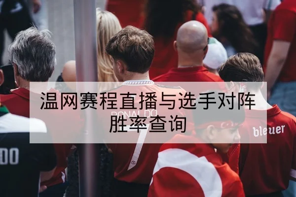 网球大满贯关键分数据与发球破发率实时统计